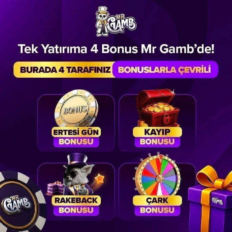 ❤️MrGamb İle Kazanmaya Hazır Mısın? 👑 Tek Yatırıma Tam 4 Adet Bonus! 🔥 Ertesi Gün Bonusu…