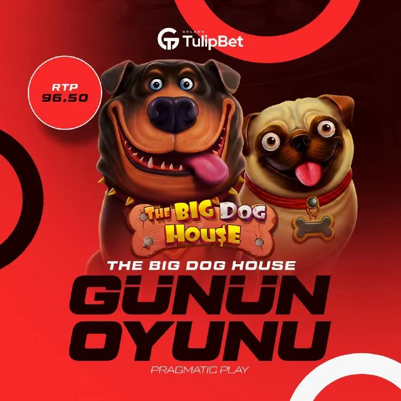 🌟 KARŞINIZDA BUGÜNÜN YILDIZ OYUNU: The Big Dog House 🎰 Pragmatic Play'in efsanevi slot…