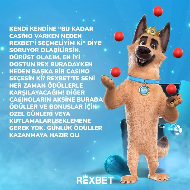 🎁 Neden Rexbet? Günlük ödüller, bonuslar ve Rex dostun her zaman yanında! Özel günleri…